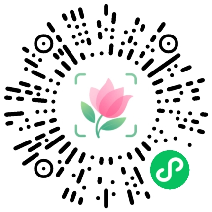 AI Plant ID WeChat mini program code